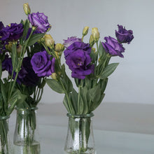 Load image into Gallery viewer, Rustic Set Vases