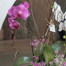 Load image into Gallery viewer, Mix Phalaenopsis Vase