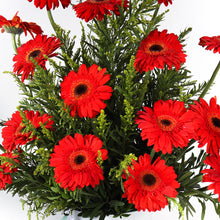 Load image into Gallery viewer, Red Gerbera in Can Vase