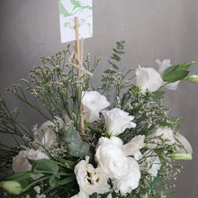 Load image into Gallery viewer, Lisianthus in a Water Sprinkler