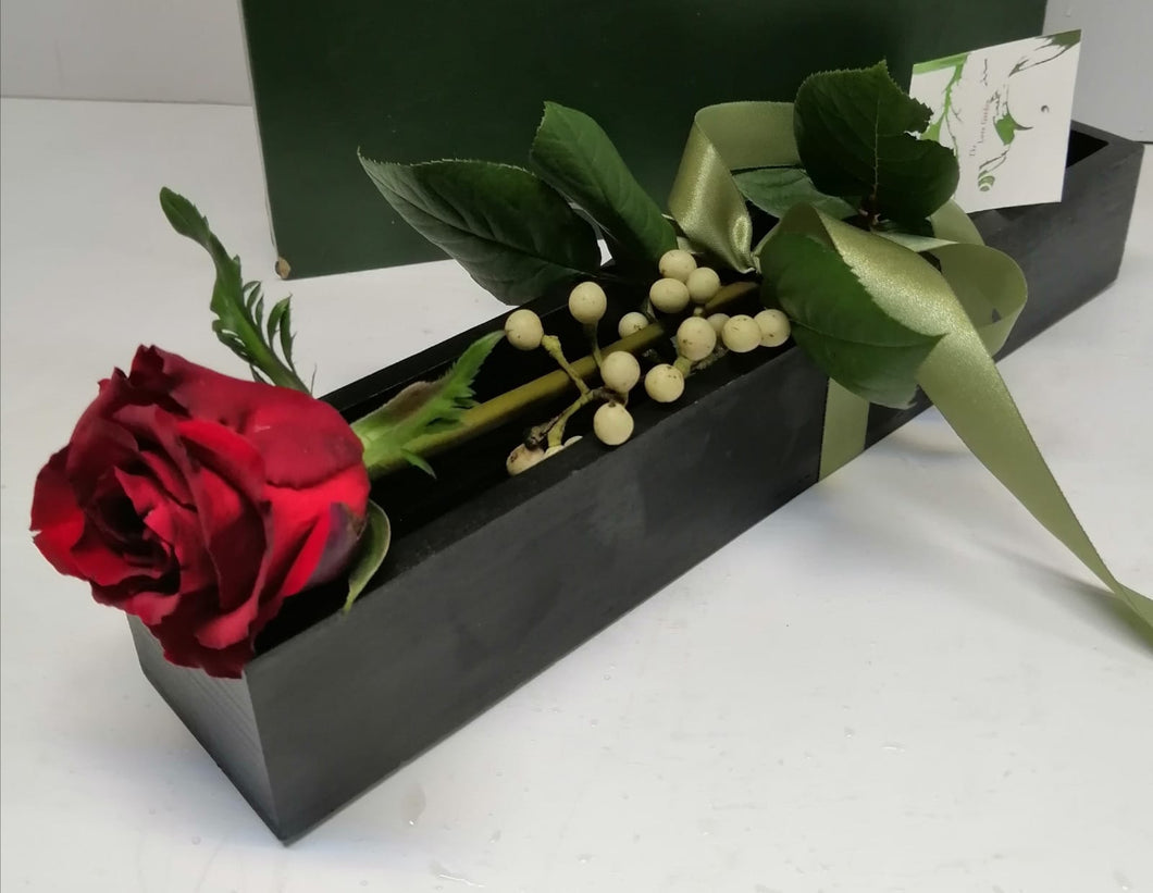 Rose in box