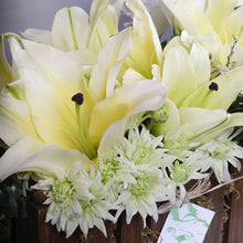 Load image into Gallery viewer, Basket Bloom Yellow Lilium