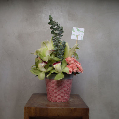 Cymbidium with Carnations