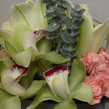 Load image into Gallery viewer, Cymbidium with Carnations