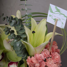 Load image into Gallery viewer, Cymbidium with Carnations
