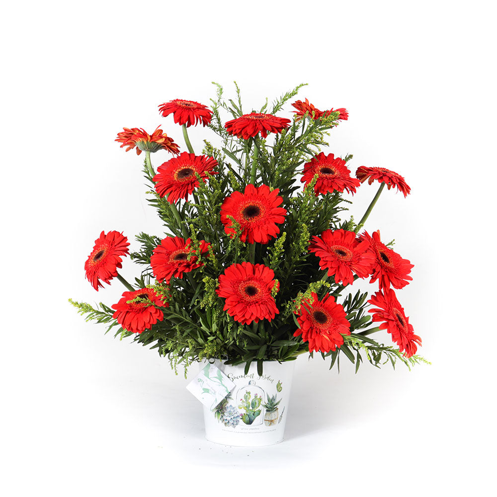 Red Gerbera in Can Vase