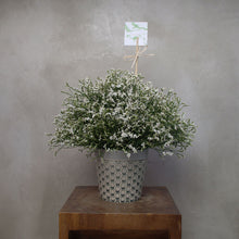 Load image into Gallery viewer, Misty White Vase